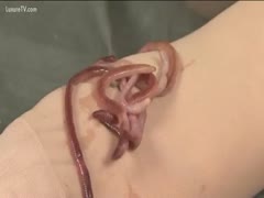 Extreme worm-induced masturbation